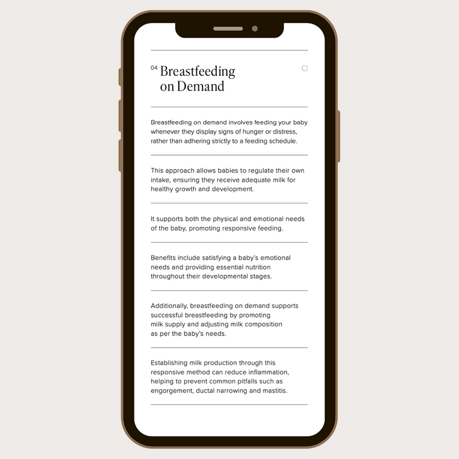 The Breastfeeding Planner E-Guide